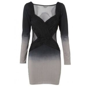 Stylestalker Ombré Mini Dress